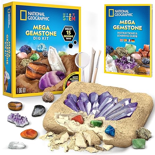 National Geographic Mega Fossil Dig Kit